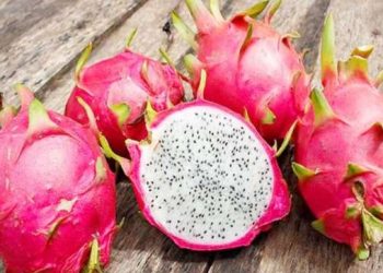 Dragon Fruit