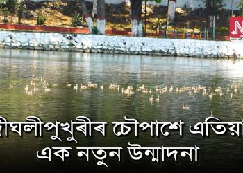 ল’কডাউনে নতুন উন্মাদনা আনিছে দীঘলী পুখুৰীলৈ; হাজাৰ হাজাৰ চৰাইৰ মাতেৰে মুখৰিত চৌপাশ