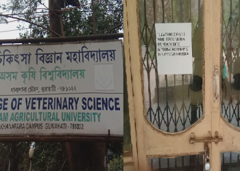 Assam agricultur university