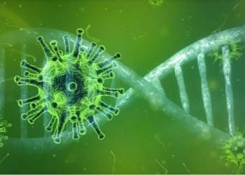 Coronavirus