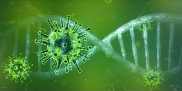 Coronavirus