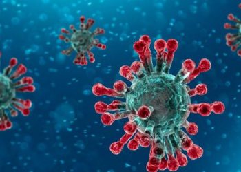 What are the four stages of COVID19?
