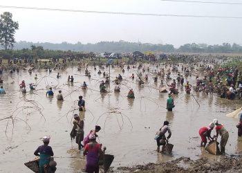 Fishing Festival