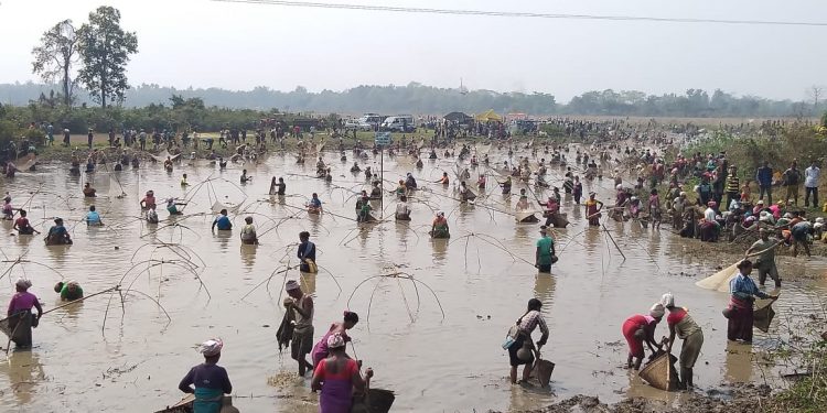 Fishing Festival