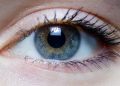 eye