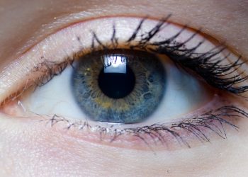 eye