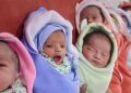 NEWBORN new