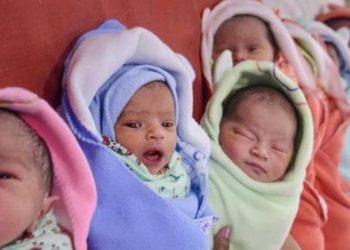 NEWBORN new