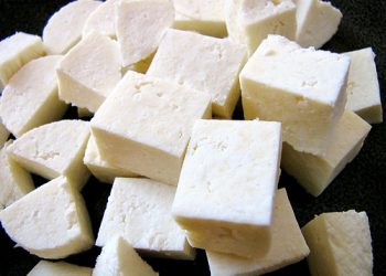 Paneer
