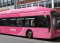 Pink Bus