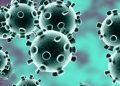 coronavirus-750x375