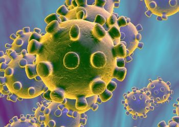 https___cdn.cnn.com_cnnnext_dam_assets_200108214800-coronavirus