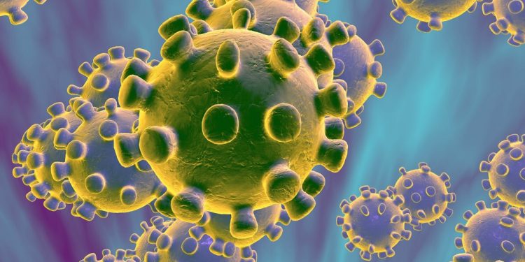 https___cdn.cnn.com_cnnnext_dam_assets_200108214800-coronavirus
