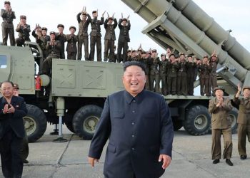 North Korea Projectiles