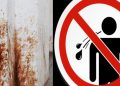 GMC to punish those spitting in public