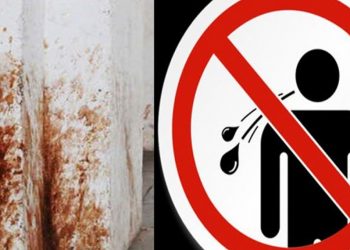 GMC to punish those spitting in public