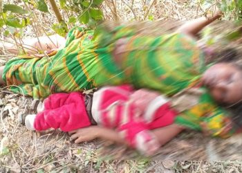 মংগলদৈ