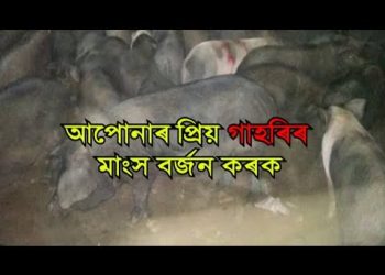 কিছুদিনলৈ গাহৰি মাংস নাখাব