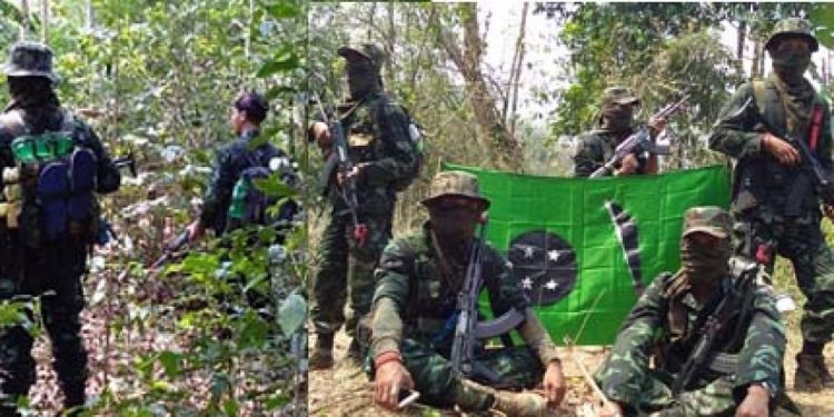 Two DNLA cadres shot dead in Karbi Anglong