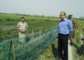 ল’কডাউনৰ বাবে গভীৰ সংকটত খেতিয়ক; ষ্ট্ৰ’বেৰি খেতি পৰিদৰ্শন বাক্সাৰ উপায়ুক্তৰ