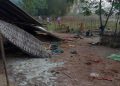গোৱালপাৰাত বনৰীয়া হাতীৰ আক্ৰমণত দুটি শিশুৰ মৃত্যু; মাক গুৰুতৰভাৱে আহত