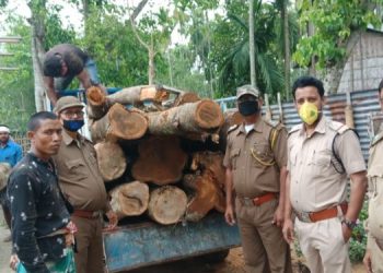 দৰঙত বৃহৎ পৰিমাণৰ অবৈধ চেগুণ গছৰ কুন্দা জব্দ