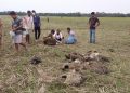 শিৱসাগৰত ১৯ টা শগুণৰ মৃত্যু; অন্য ১৫ টা অচেতন অৱস্থাত উদ্ধাৰ