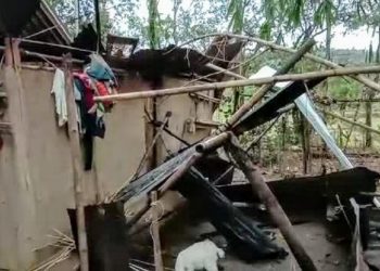 Storm wreaks havoc in Bokakhat
