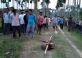 https://assam.nenow.in/wp-content/uploads/2020/04/Screenshot_20200415_204120.jpg