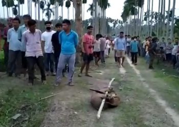 https://assam.nenow.in/wp-content/uploads/2020/04/Screenshot_20200415_204120.jpg