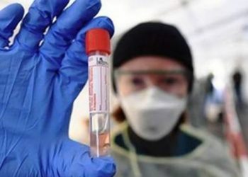 Story-11-13-1140x570