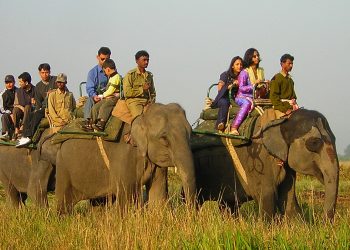 ল’কডাউনৰ মাজতেই কাজিৰঙাৰ পৰ্যটন বৰ্ষৰ সমাপ্তি; হ্ৰাস পালে ৰাজহ সংগ্ৰহ