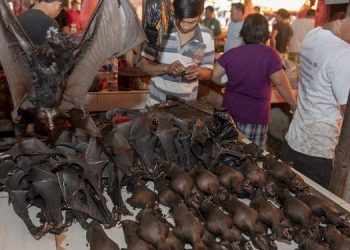 wet-market-750x375
