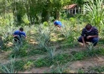 পাঁচ হাজাৰ সাঁচি গছ আৰু মাটিকঁঠালৰ গৰাকী শিৱসাগৰৰ এইখন গাঁও পঞ্চায়ত
