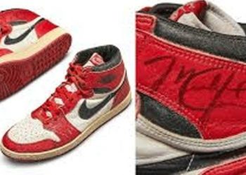564539-michel-jordan.gif