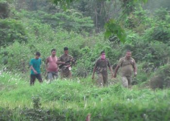 পুৰণিগুদামৰ সমীপৱৰ্তী ভৰাগুৰিত দুটা বনৰীয়া হাতীয়ে বিনষ্ট কৰিলে কেইবাবিঘা ধান খেতি