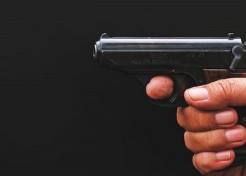 Gun-696x391