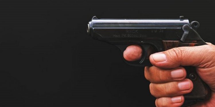 Gun-696x391