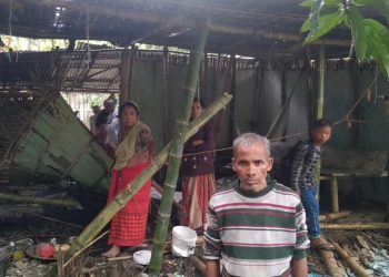 Wild jumbo wreaks havoc in Baksa's Guwabari