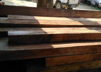পুৰণিগুদামত চোৰাং কাঠৰ ৰমৰমীয়া বেহা; কাঠফলা মিলৰ লগতে জব্দ লক্ষাধিক টকাৰ কাঠ
