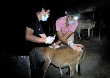 কাজিৰঙাৰ কাষৰীয় গাঁও আৰু চাপৰিত পশুধনক প্ৰতিষেধক প্ৰদানৰ অভিযান 