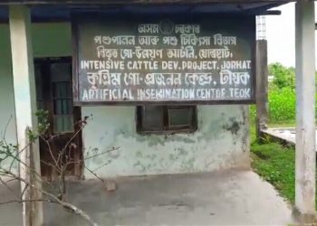 ৰাজ্যত ছোৱাইন ফিভাৰৰ আতংকৰ সময়ত টীয়কত পশুপালন বিভাগৰ শোচনীয় আন্ত:গাঠনি