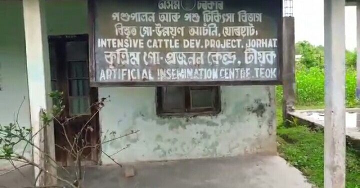 পশুপালন বিভাগটোৰ দৃশ্য