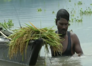 প্ৰথমটো বানে সৰ্বস্বান্ত কৰিলে গোৱালপাৰাৰ কেইবা শতাধিক কৃষকক