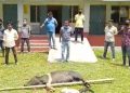 মৃত গাহৰি সন্মুখত ৰাখি মন্ত্ৰী অতুল বৰাৰ বিৰুদ্ধে ছাত্ৰ মুক্তি সংগ্ৰাম সমিতিৰ প্ৰতিবাদ