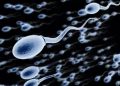 corona_virus_sars_cov2_found_in_sperm_too_1588996083