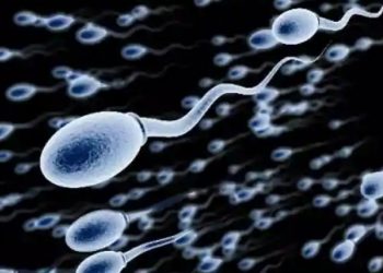 corona_virus_sars_cov2_found_in_sperm_too_1588996083