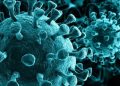 498 persons cured of COVID-19 in Assam