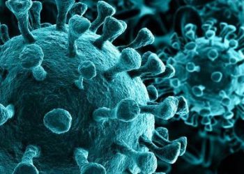 498 persons cured of COVID-19 in Assam