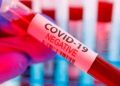 COVID-19 positive cases reach 210 in Assam